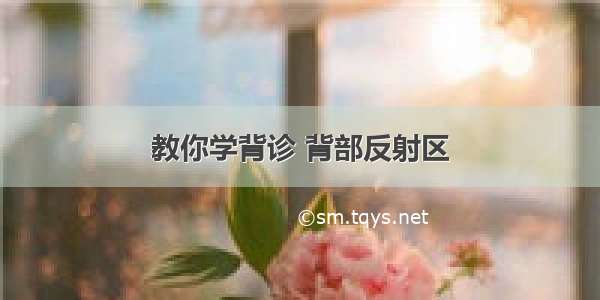 教你学背诊 背部反射区