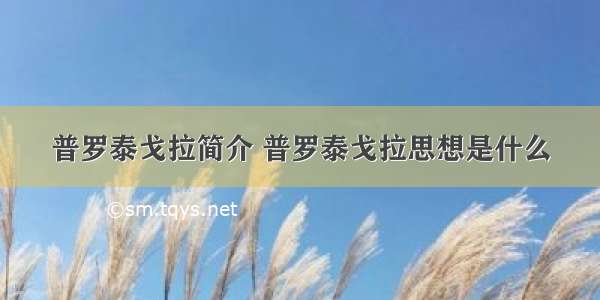 普罗泰戈拉简介 普罗泰戈拉思想是什么