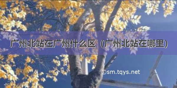 广州北站在广州什么区（广州北站在哪里）