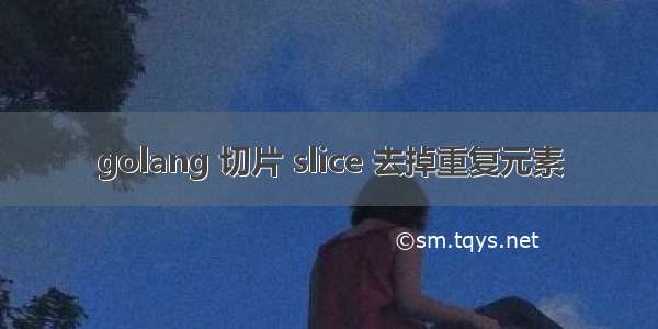 golang 切片 slice 去掉重复元素