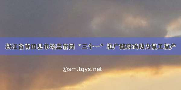 浙江省青田县市场监管局“三个一”推广健康码助力复工复产