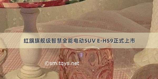 红旗旗舰级智慧全能电动SUV E-HS9正式上市