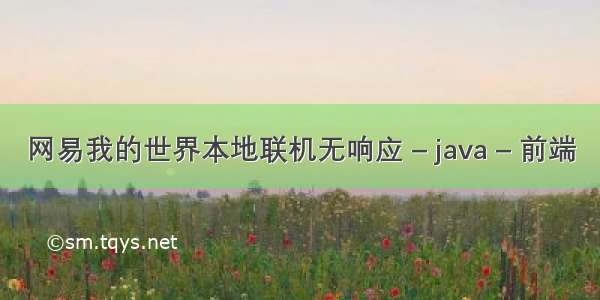 网易我的世界本地联机无响应 – java – 前端