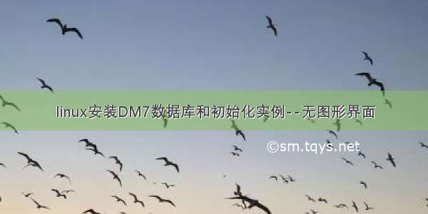 linux安装DM7数据库和初始化实例--无图形界面