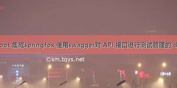 spring boot 集成springfox 使用swagger对 API 接口进行测试管理的 demo 示例