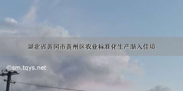 湖北省黄冈市黄州区农业标准化生产渐入佳境