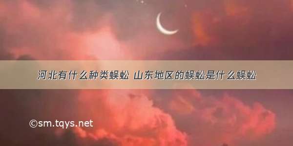 河北有什么种类蜈蚣 山东地区的蜈蚣是什么蜈蚣