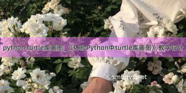 python turtle库画图_《体验Python中turtle库画图》教学设计