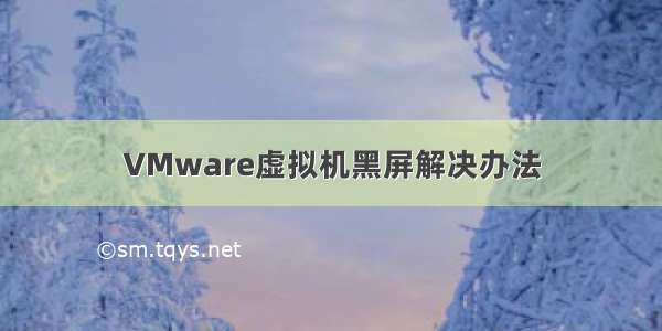 VMware虚拟机黑屏解决办法