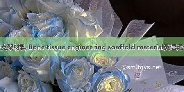 骨组织工程支架材料 Bone tissue engineering soaffold material英语短句 例句大全