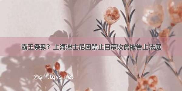 霸王条款？上海迪士尼因禁止自带饮食被告上法庭