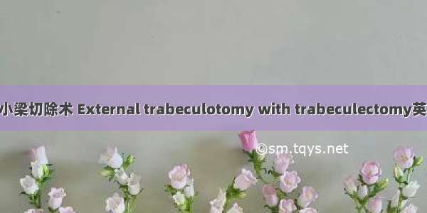 小梁切开术联合小梁切除术 External trabeculotomy with trabeculectomy英语短句 例句大全