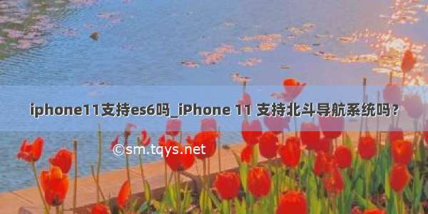 iphone11支持es6吗_iPhone 11 支持北斗导航系统吗？