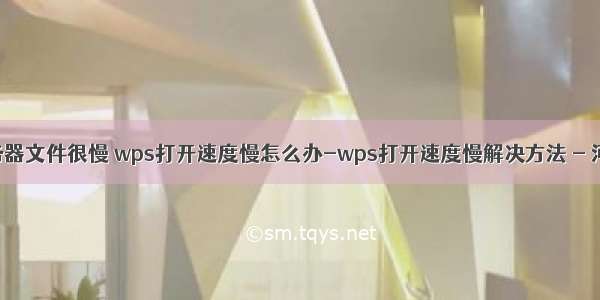 wps打开服务器文件很慢 wps打开速度慢怎么办-wps打开速度慢解决方法 - 河东软件园...