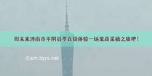 周末来济南市平阴县孝直镇体验一场果蔬采摘之旅吧！