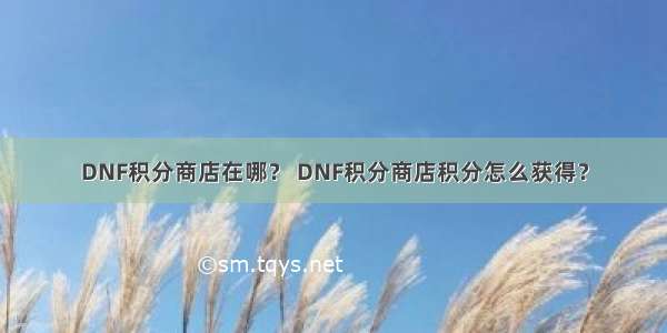 DNF积分商店在哪？ DNF积分商店积分怎么获得？