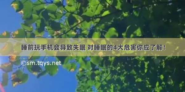 睡前玩手机会导致失眠 对睡眠的4大危害你应了解！