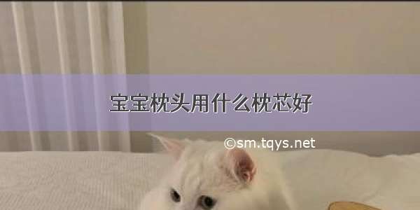 宝宝枕头用什么枕芯好