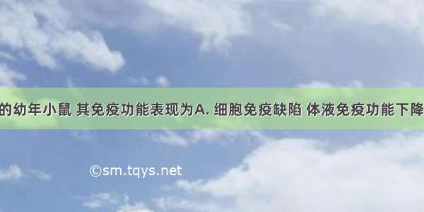 切除胸腺的幼年小鼠 其免疫功能表现为A. 细胞免疫缺陷 体液免疫功能下降B. 细胞免