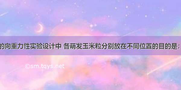 下图在植物的向重力性实验设计中 各萌发玉米粒分别放在不同位置的目的是；种子的萌发