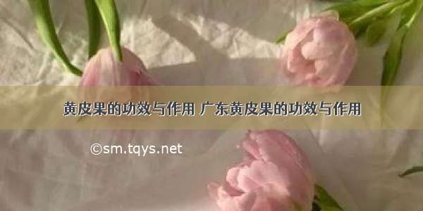 黄皮果的功效与作用 广东黄皮果的功效与作用