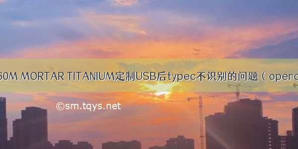 微星MSI B360M MORTAR TITANIUM定制USB后typec不识别的问题（opencore0.6.3）