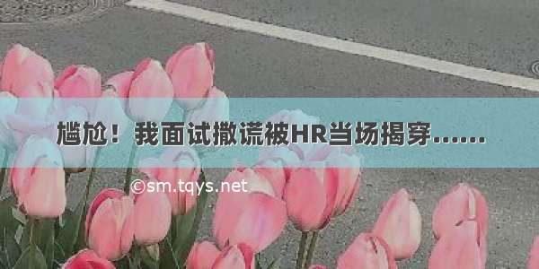 尴尬！我面试撒谎被HR当场揭穿……