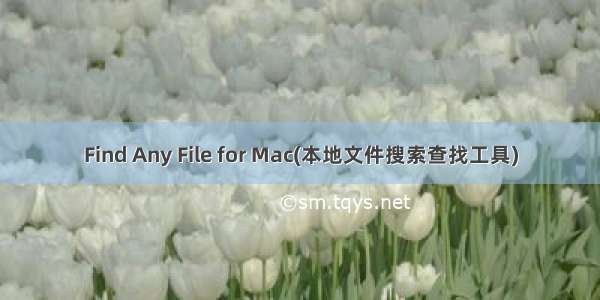 Find Any File for Mac(本地文件搜索查找工具)