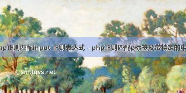 php正则匹配input 正则表达式 - php正则匹配p标签及带特定的中文