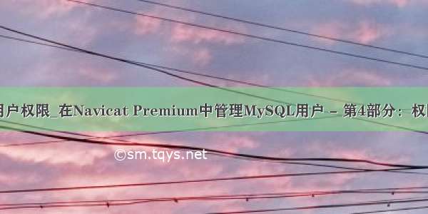 mysql 查看用户权限_在Navicat Premium中管理MySQL用户 - 第4部分：权限管理器工具