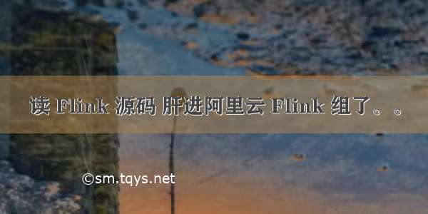 读 Flink 源码 肝进阿里云 Flink 组了。。