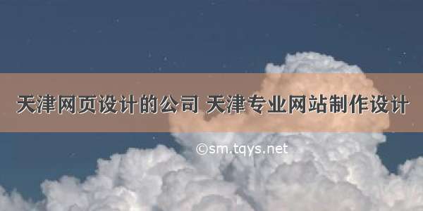 天津网页设计的公司 天津专业网站制作设计