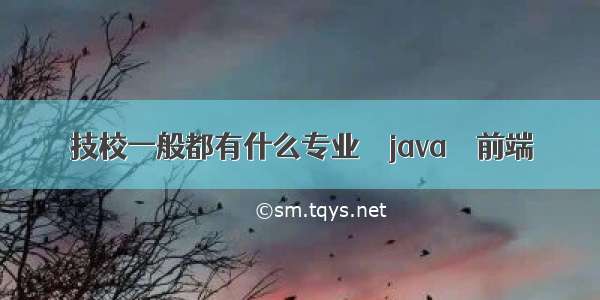 技校一般都有什么专业 – java – 前端