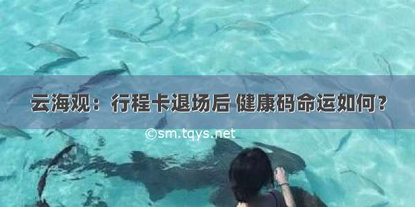 云海观：行程卡退场后 健康码命运如何？