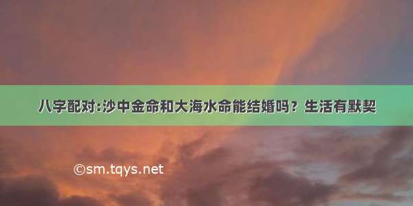 八字配对:沙中金命和大海水命能结婚吗？生活有默契