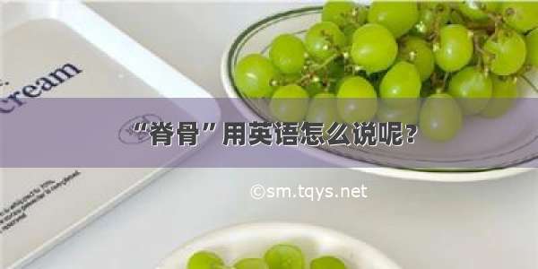 “脊骨”用英语怎么说呢？