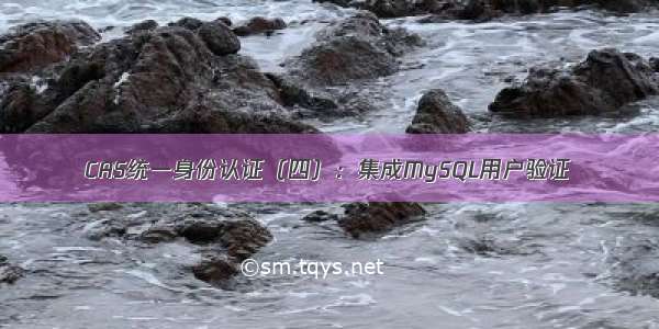 CAS统一身份认证（四）：集成MySQL用户验证