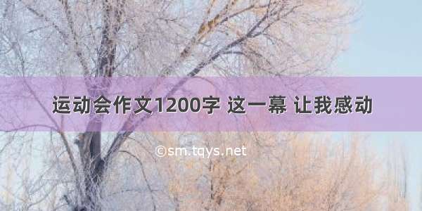 运动会作文1200字 这一幕 让我感动