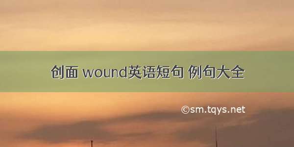 创面 wound英语短句 例句大全