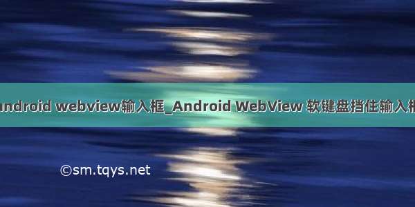 android webview输入框_Android WebView 软键盘挡住输入框