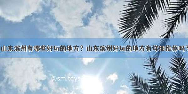 山东滨州有哪些好玩的地方？山东滨州好玩的地方有详细推荐吗？