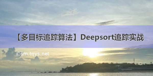 【多目标追踪算法】Deepsort追踪实战