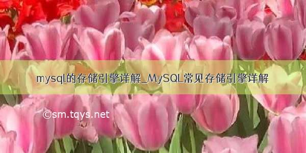 mysql的存储引擎详解_MySQL常见存储引擎详解