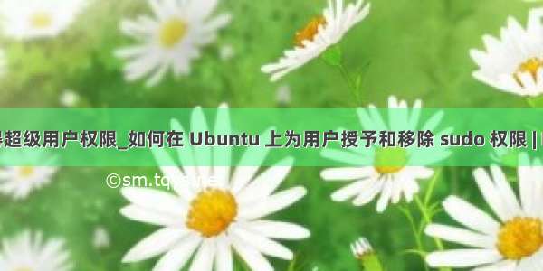 kali如何取得超级用户权限_如何在 Ubuntu 上为用户授予和移除 sudo 权限 | Linux 中国...