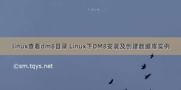 linux查看dm8目录 Linux下DM8安装及创建数据库实例