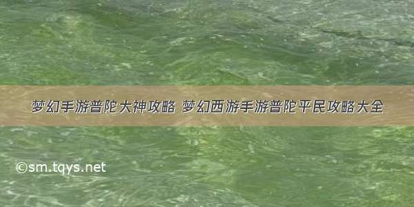 梦幻手游普陀大神攻略 梦幻西游手游普陀平民攻略大全