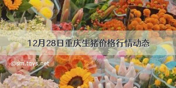 12月28日重庆生猪价格行情动态