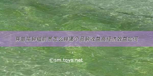 芽苗菜种植前景怎么样哪个品种收益高经济效益如何