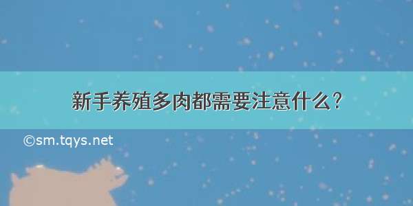 新手养殖多肉都需要注意什么？