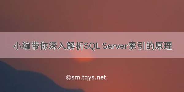 小编带你深入解析SQL Server索引的原理